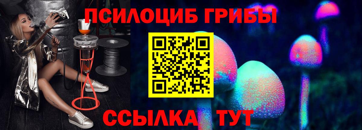 продажа наркотиков  Вход с VPN  Уварово  Псилоцибиновые грибы Psilocybine cubensis  Псилоцибиновые грибы GOLDEN TEACHER 